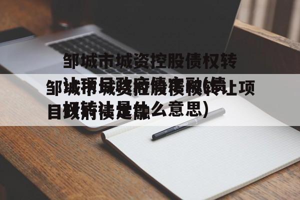 邹城市城资控股债权转让项目政府债定融(债权转让是什么意思)