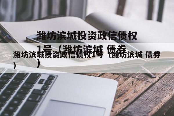 潍坊滨城投资政信债权1号（潍坊滨城 债券）