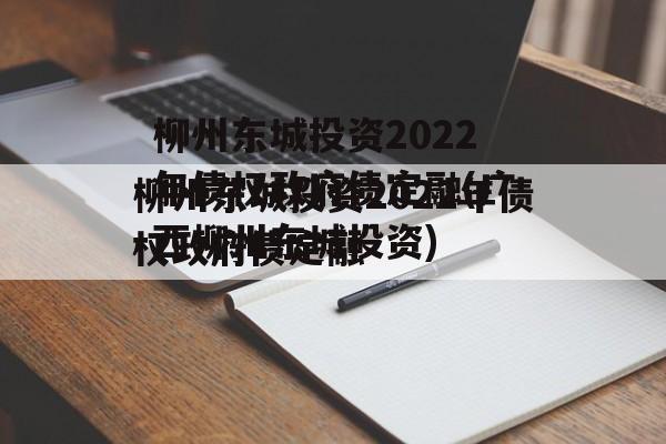 柳州东城投资2022年债权政府债定融(广西柳州东城投资)