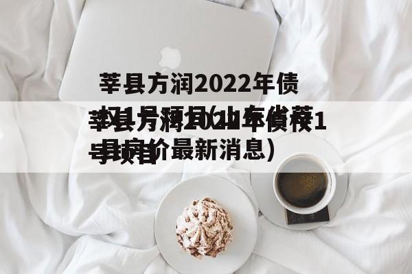 莘县方润2022年债权1号项目(山东省莘县房价最新消息)