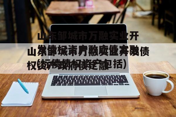 山东邹城市万融实业开发债权资产政府债定融(标债债权资产包括)