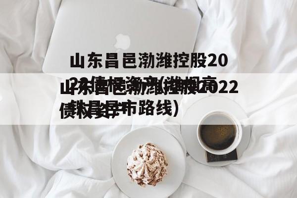 山东昌邑渤潍控股2022债权资产(潍烟高铁昌邑市路线)