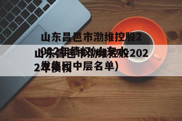 山东昌邑市渤维控股2022年债权(山东水发集团中层名单)