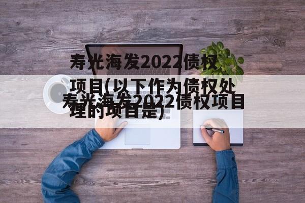 寿光海发2022债权项目(以下作为债权处理的项目是)