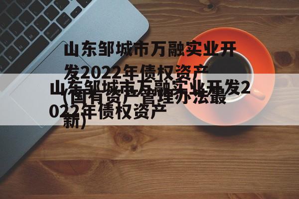 山东邹城市万融实业开发2022年债权资产(国有资产管理办法最新)