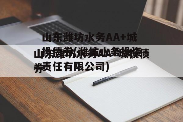 山东潍坊水务AA+城投债券(潍坊水务投资责任有限公司)