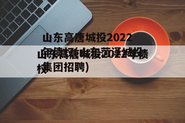 山东高唐城投2022年债权(山东菏泽城投集团招聘)