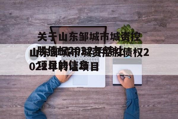 关于山东邹城市城资控股债权2022年转让项目的信息