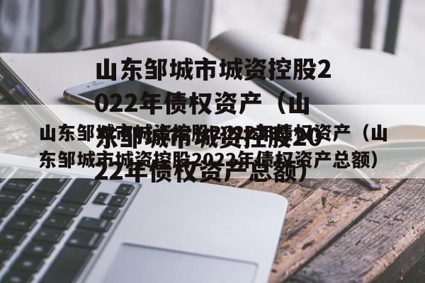 山东邹城市城资控股2022年债权资产（山东邹城市城资控股2022年债权资产总额）