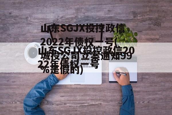 山东SGJX投控政信2022年债权一号(网贷立案通知99%是假的)