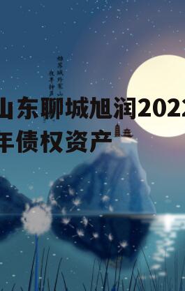 山东聊城旭润2022年债权资产