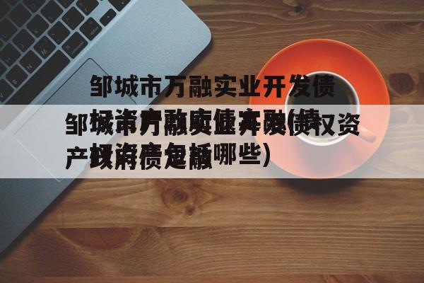 邹城市万融实业开发债权资产政府债定融(债权资产包括哪些)