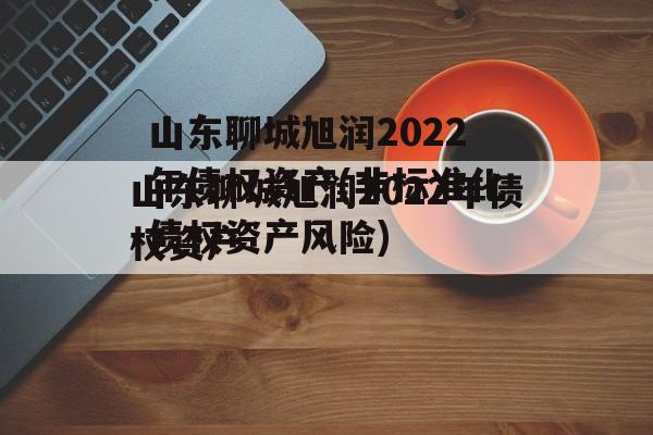 山东聊城旭润2022年债权资产(非标准化债权资产风险)