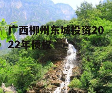 广西柳州东城投资2022年债权