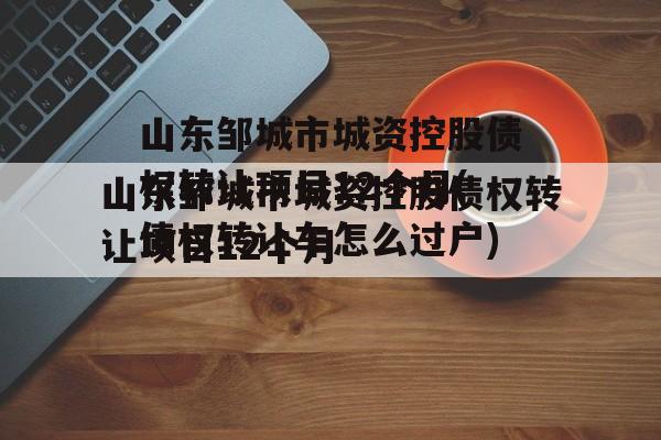 山东邹城市城资控股债权转让项目12个月(债权转让车怎么过户)