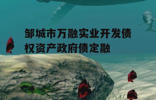 邹城市万融实业开发债权资产政府债定融