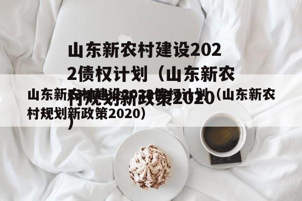 山东新农村建设2022债权计划（山东新农村规划新政策2020）