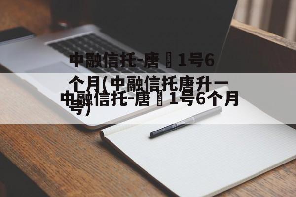 中融信托-唐昇1号6个月(中融信托唐升一号)