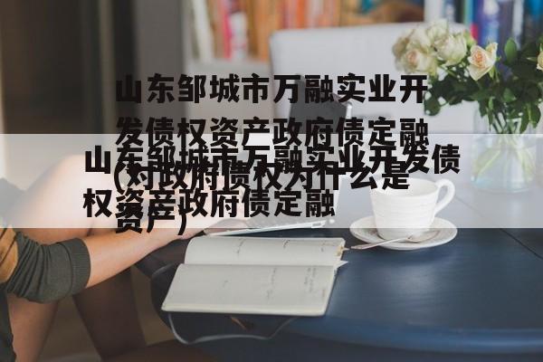 山东邹城市万融实业开发债权资产政府债定融(对政府债权为什么是资产)