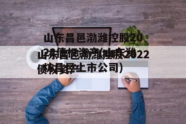 山东昌邑渤潍控股2022债权资产(山东潍坊昌邑上市公司)