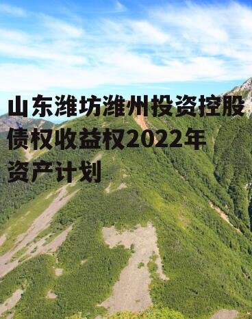 山东潍坊潍州投资控股债权收益权2022年资产计划