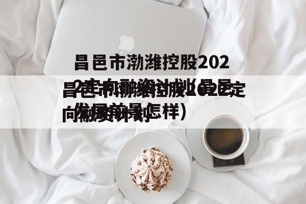 昌邑市渤潍控股2022定向融资计划(昌邑发展前景怎样)