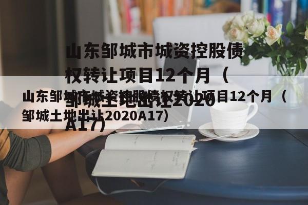 山东邹城市城资控股债权转让项目12个月（邹城土地出让2020A17）