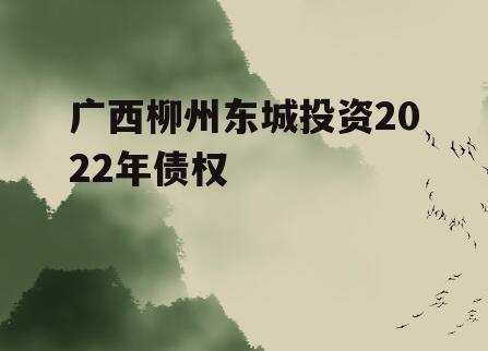 广西柳州东城投资2022年债权