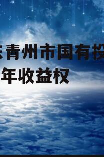 山东青州市国有投资2022年收益权