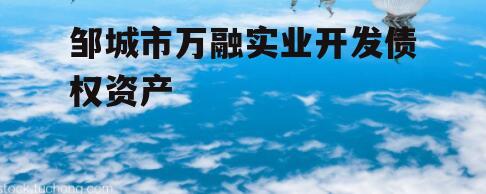 邹城市万融实业开发债权资产