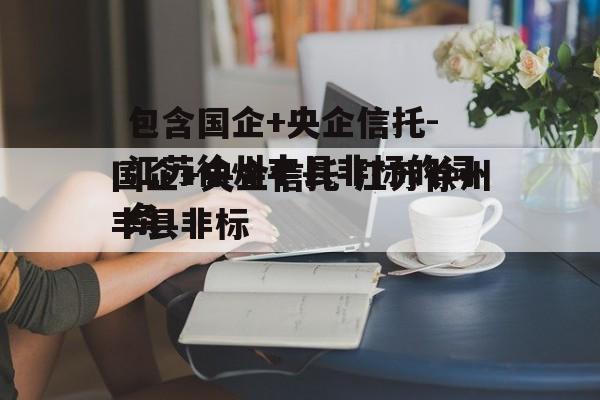 包含国企+央企信托-江苏徐州丰县非标的词条