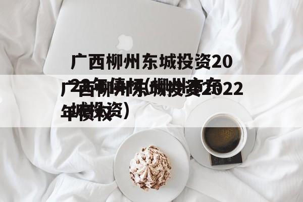 广西柳州东城投资2022年债权(柳州市东城投资)