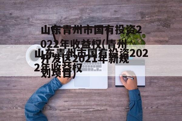 山东青州市国有投资2022年收益权(青州开发区2021年新规划项目)