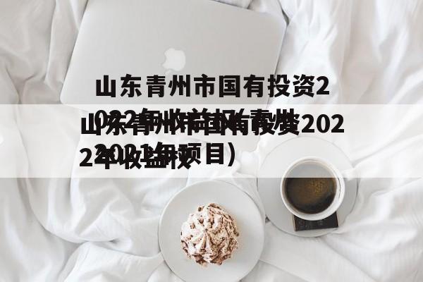 山东青州市国有投资2022年收益权(青州2021年项目)