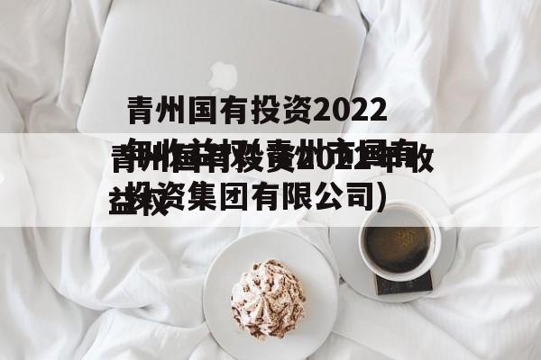 青州国有投资2022年收益权(青州市国有投资集团有限公司)