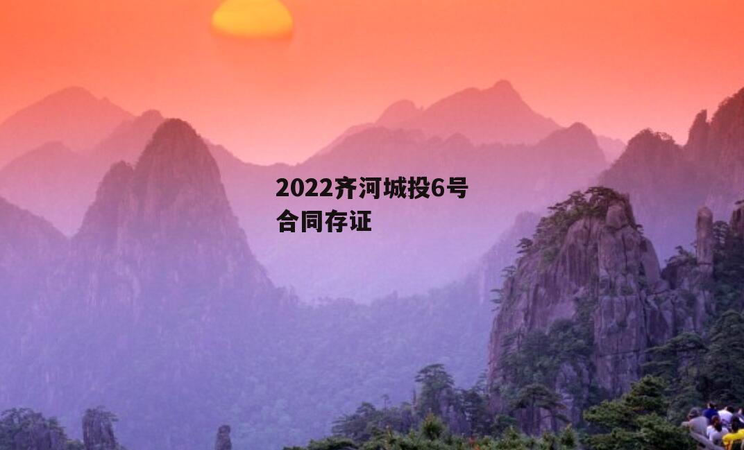 2022齐河城投6号合同存证