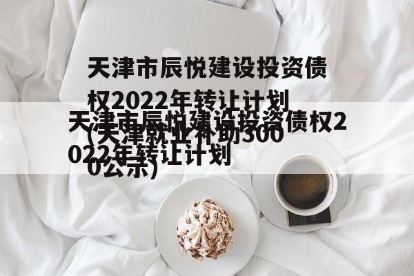 天津市辰悦建设投资债权2022年转让计划(天津就业补助3000公示)