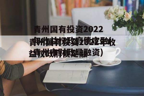 青州国有投资2022年收益权政府债定融(青州市财政局融资)