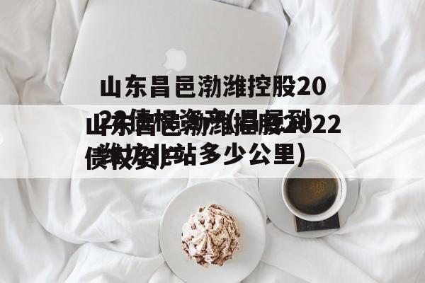 山东昌邑渤潍控股2022债权资产(昌邑到潍坊北站多少公里)