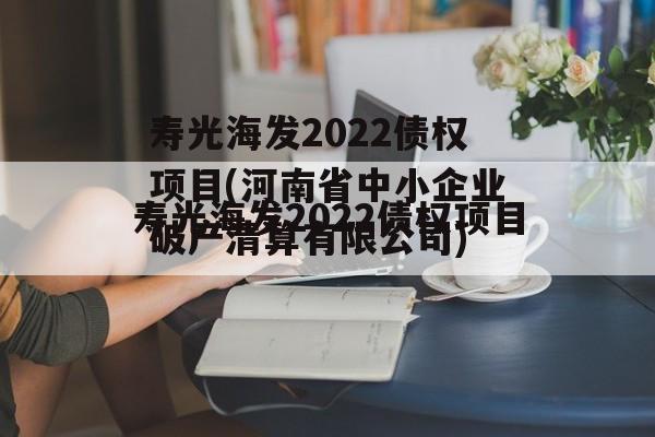 寿光海发2022债权项目(河南省中小企业破产清算有限公司)