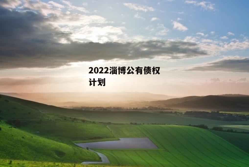 2022淄博公有债权计划