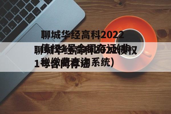 聊城华经高科2022债权1号合同存证(非税缴费查询系统)