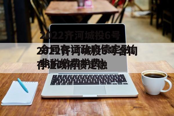 2022齐河城投6号合同存证政府债定融(非税缴费学费)