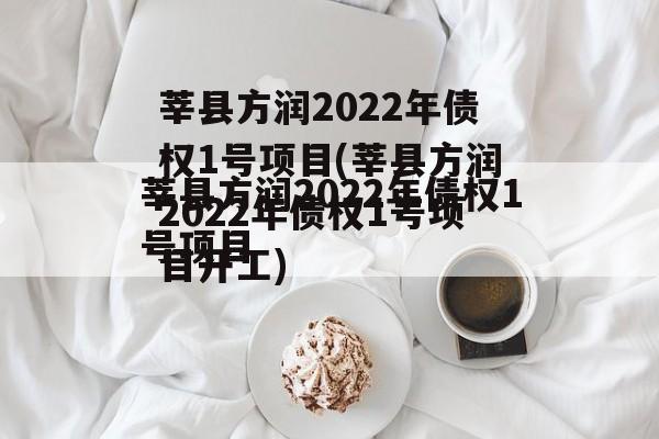 莘县方润2022年债权1号项目(莘县方润2022年债权1号项目开工)