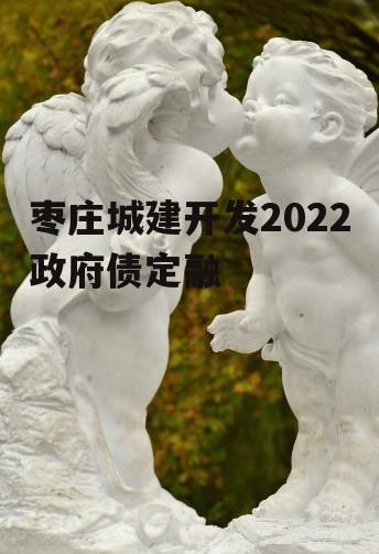 枣庄城建开发2022政府债定融