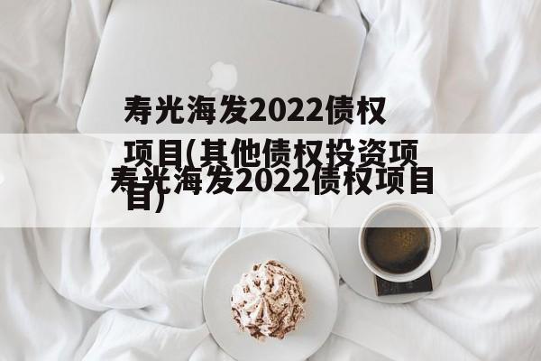 寿光海发2022债权项目(其他债权投资项目)