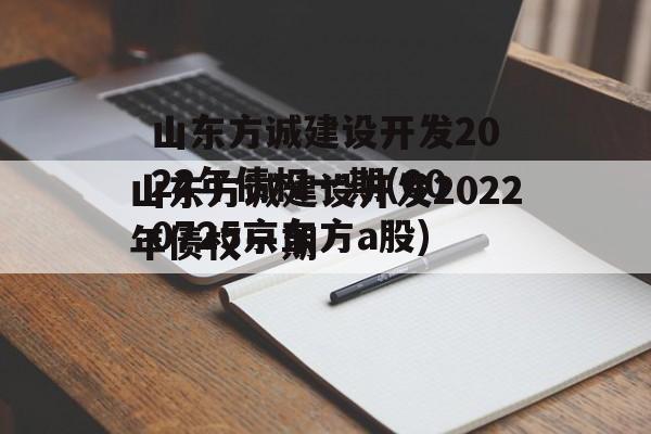 山东方诚建设开发2022年债权一期(000725京东方a股)