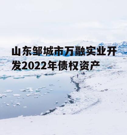 山东邹城市万融实业开发2022年债权资产