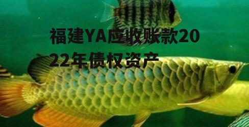 福建YA应收账款2022年债权资产