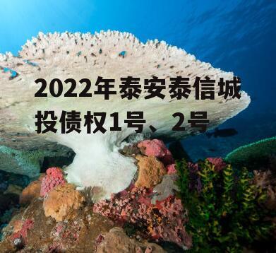 2022年泰安泰信城投债权1号、2号